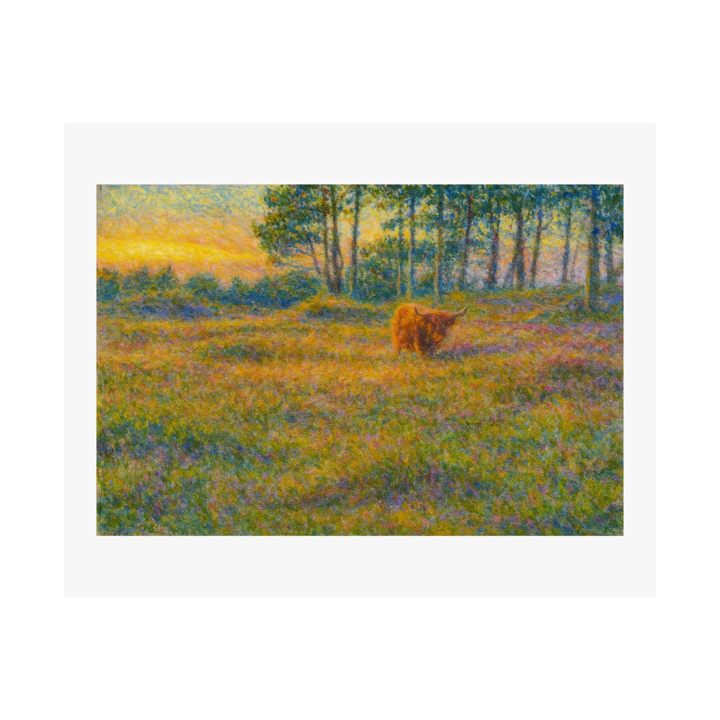 Highland Meadow